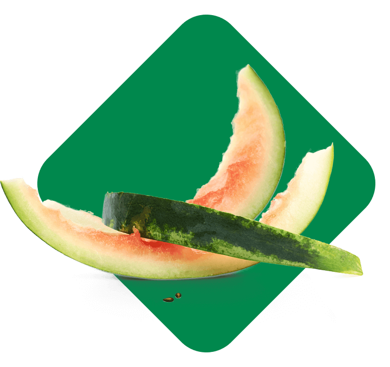 melon